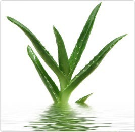 DOVELAND - Lubrikačný gél Lovely Lovers Aloe Vera 150 ml
